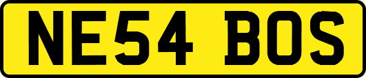NE54BOS