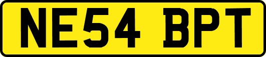 NE54BPT