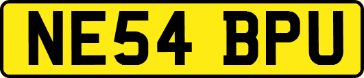 NE54BPU