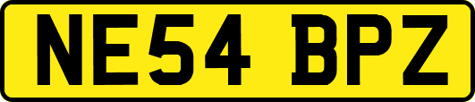NE54BPZ