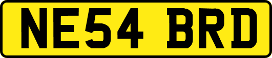 NE54BRD