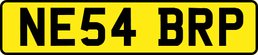 NE54BRP