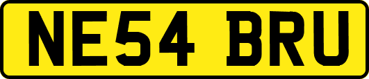 NE54BRU