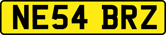 NE54BRZ
