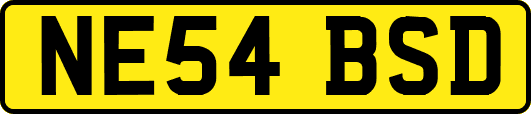 NE54BSD