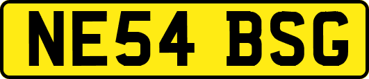 NE54BSG