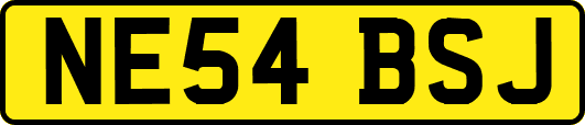 NE54BSJ