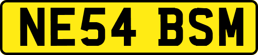 NE54BSM