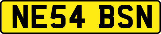 NE54BSN