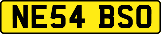 NE54BSO
