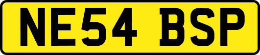NE54BSP