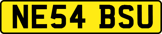 NE54BSU