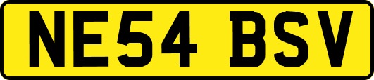 NE54BSV