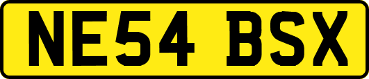 NE54BSX