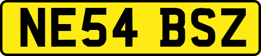 NE54BSZ