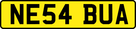NE54BUA