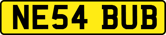 NE54BUB