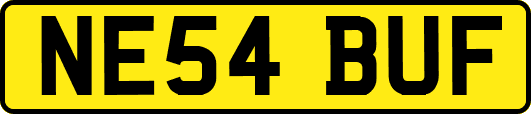 NE54BUF