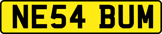 NE54BUM