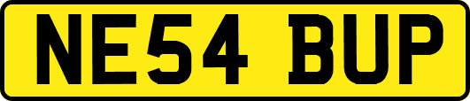 NE54BUP