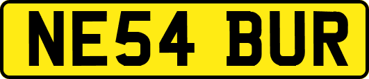 NE54BUR