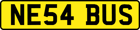 NE54BUS
