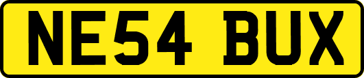 NE54BUX