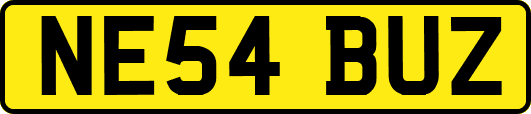 NE54BUZ