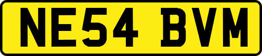 NE54BVM