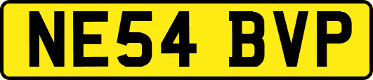 NE54BVP