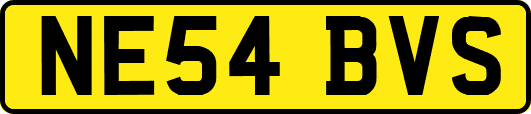 NE54BVS