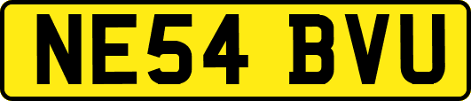 NE54BVU