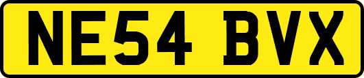 NE54BVX