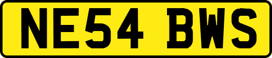 NE54BWS