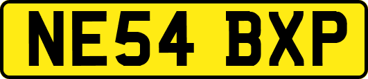 NE54BXP