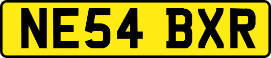 NE54BXR