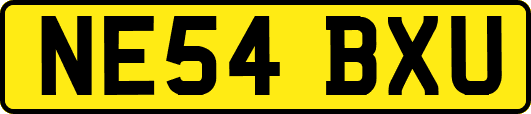 NE54BXU