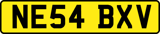 NE54BXV