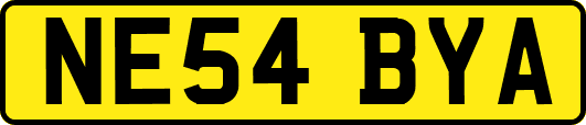 NE54BYA
