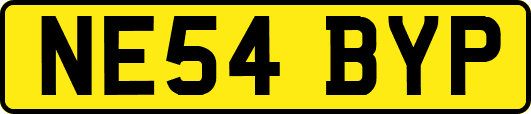 NE54BYP