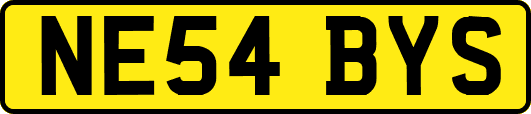 NE54BYS