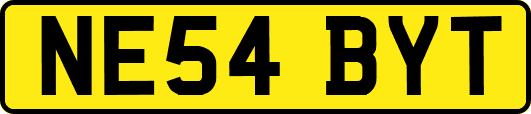 NE54BYT