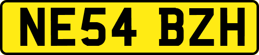 NE54BZH