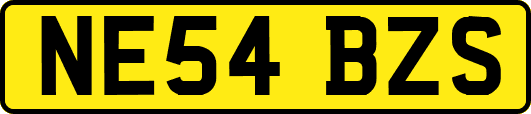 NE54BZS