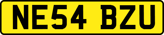 NE54BZU