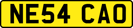 NE54CAO