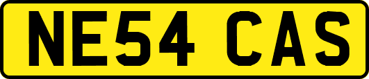 NE54CAS