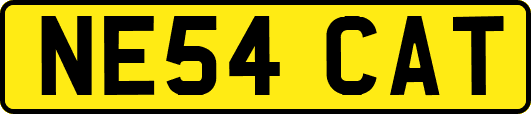 NE54CAT