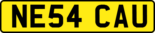 NE54CAU