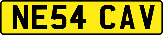 NE54CAV